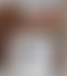 De Edegemse families De Greef: wevers, cafébazen en bakkers.