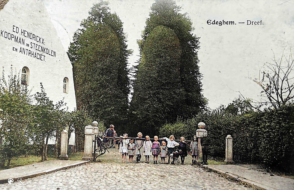 Op zoek naar de doolhof van Hof Ter Linden