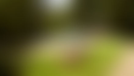 Meihof (3) 1958 -2020