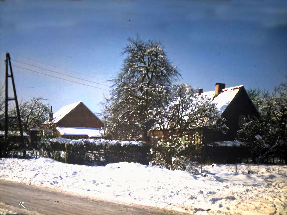 Hoeve Nijs in een winterlandschap, met rechts de hoeve en links de paardenstal. De zandweg vooraan is de Ingenieur Haesaertslaan. (Collectie Steynen)