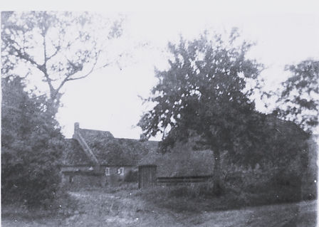 3003-142_dubbelhoeve_janssens-dom groot.jpeg