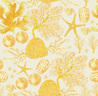 SHELL REEF SS4902-08 YELLOW.jpg
