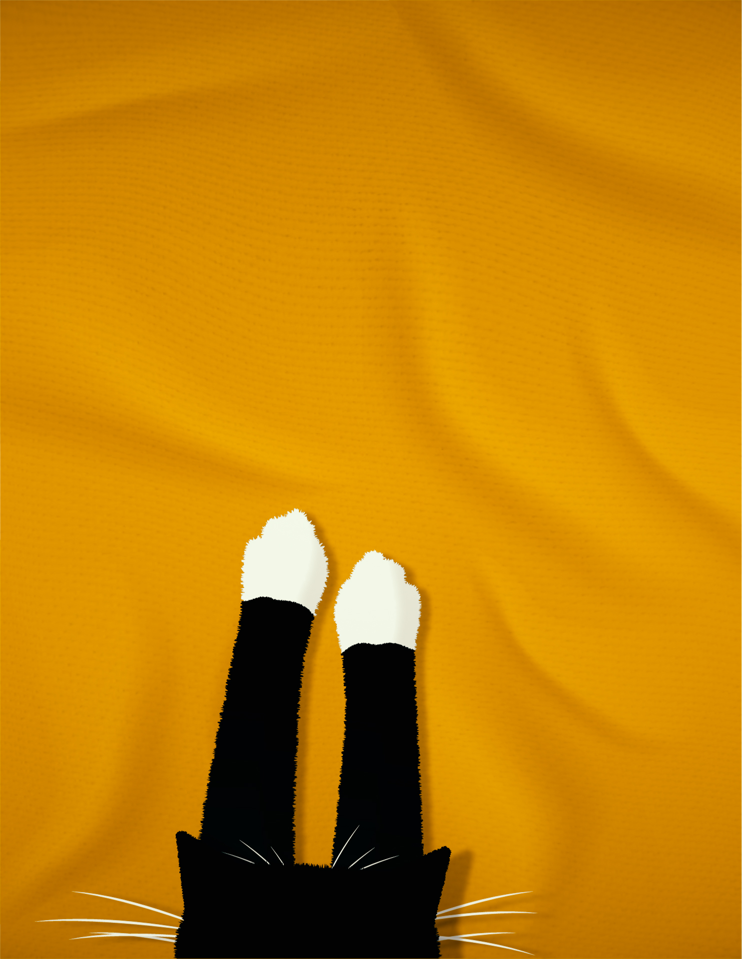 Day 26 - Stretch