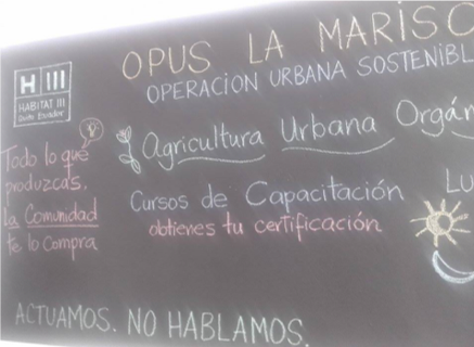 Noticia: Huerto Comunitario es uno de los proyectos de recuperación urbana del sector La Mariscal 