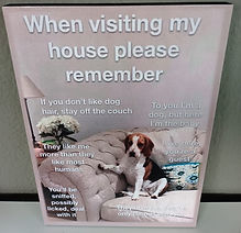 WhatsApp Image 2022-11-07 at 17.20.37.jpeg