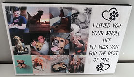 WhatsApp Image 2022-03-24 at 2.16.14 PM.jpeg