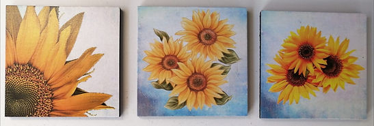 WhatsApp Image 2021-04-23 at 07.42.45 (1