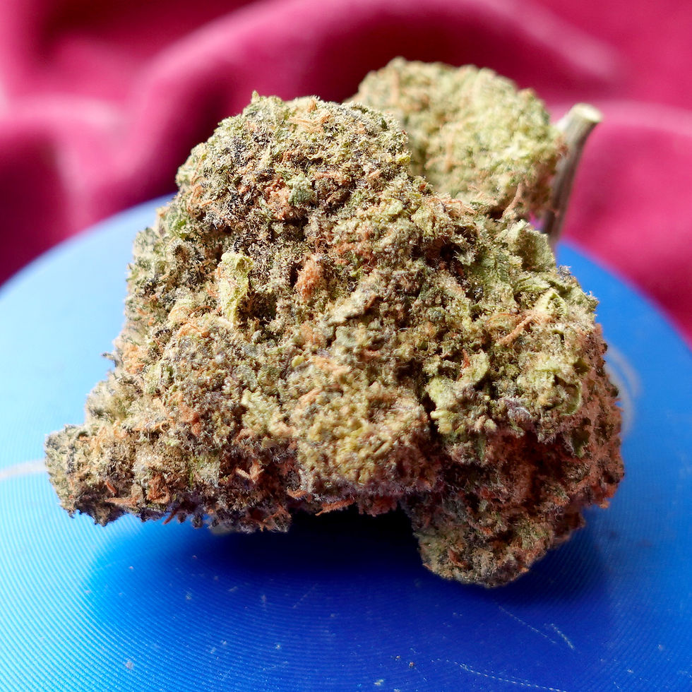 Thumbnail: *Sum'r 🔥Sale*Jungle Mints (7g-$50/14g-$65/28g-$120) (29% THC)