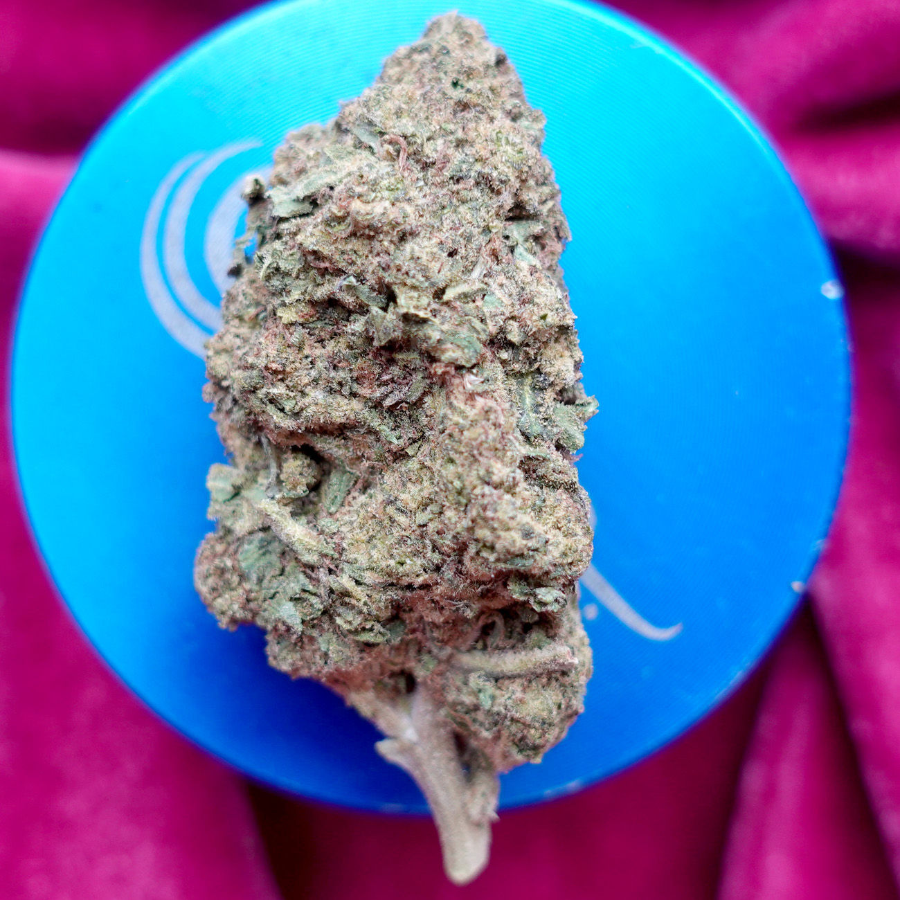 *Sum'r 🔥Sale*Animal Cookies (7g-$50/14g-$65/28g-$120/2oz-$220)(THC 29%)