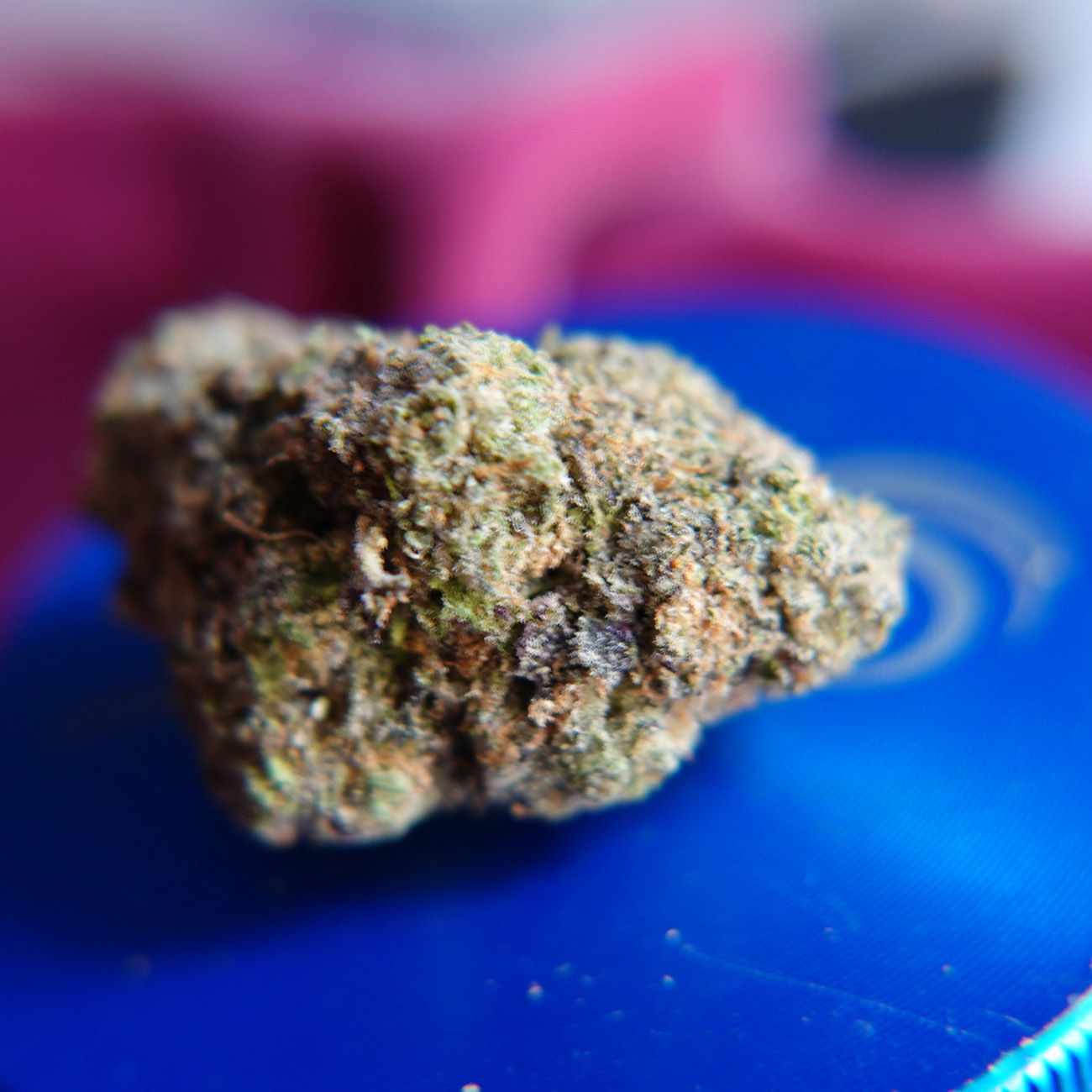 *Sum'r 🔥Sale* Hawaiian Runtz (7g-$50/14g-$70/28g-$130) (32% THC)