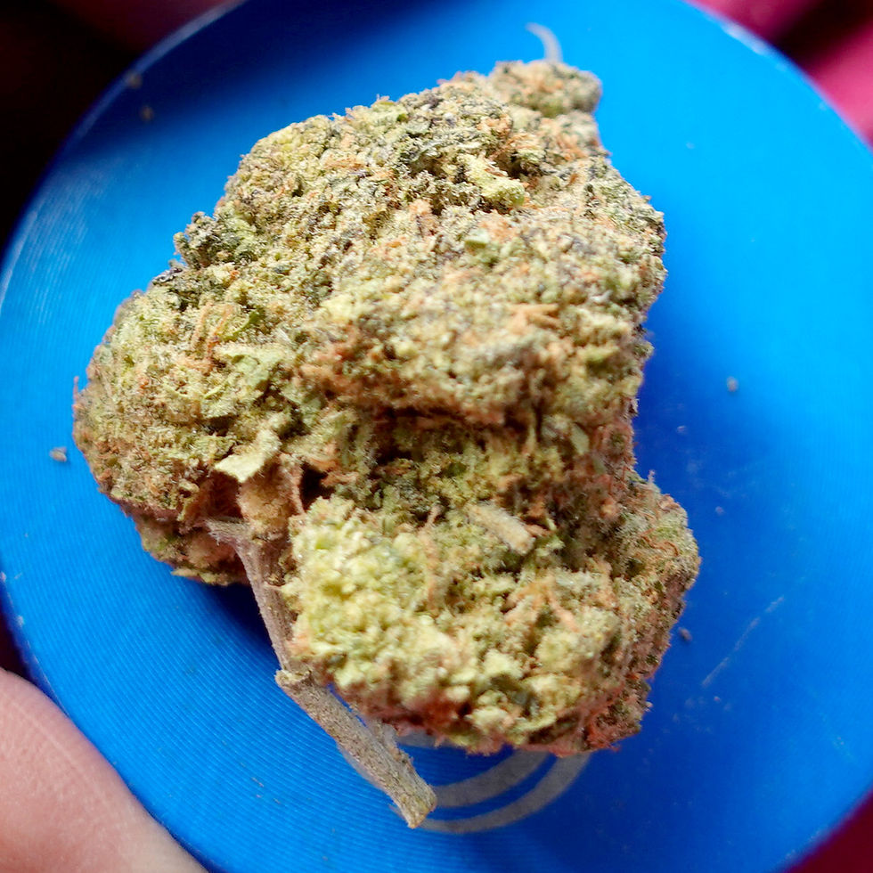 Thumbnail: *Sum'r 🔥Sale*Jungle Mints (7g-$50/14g-$65/28g-$120) (29% THC)