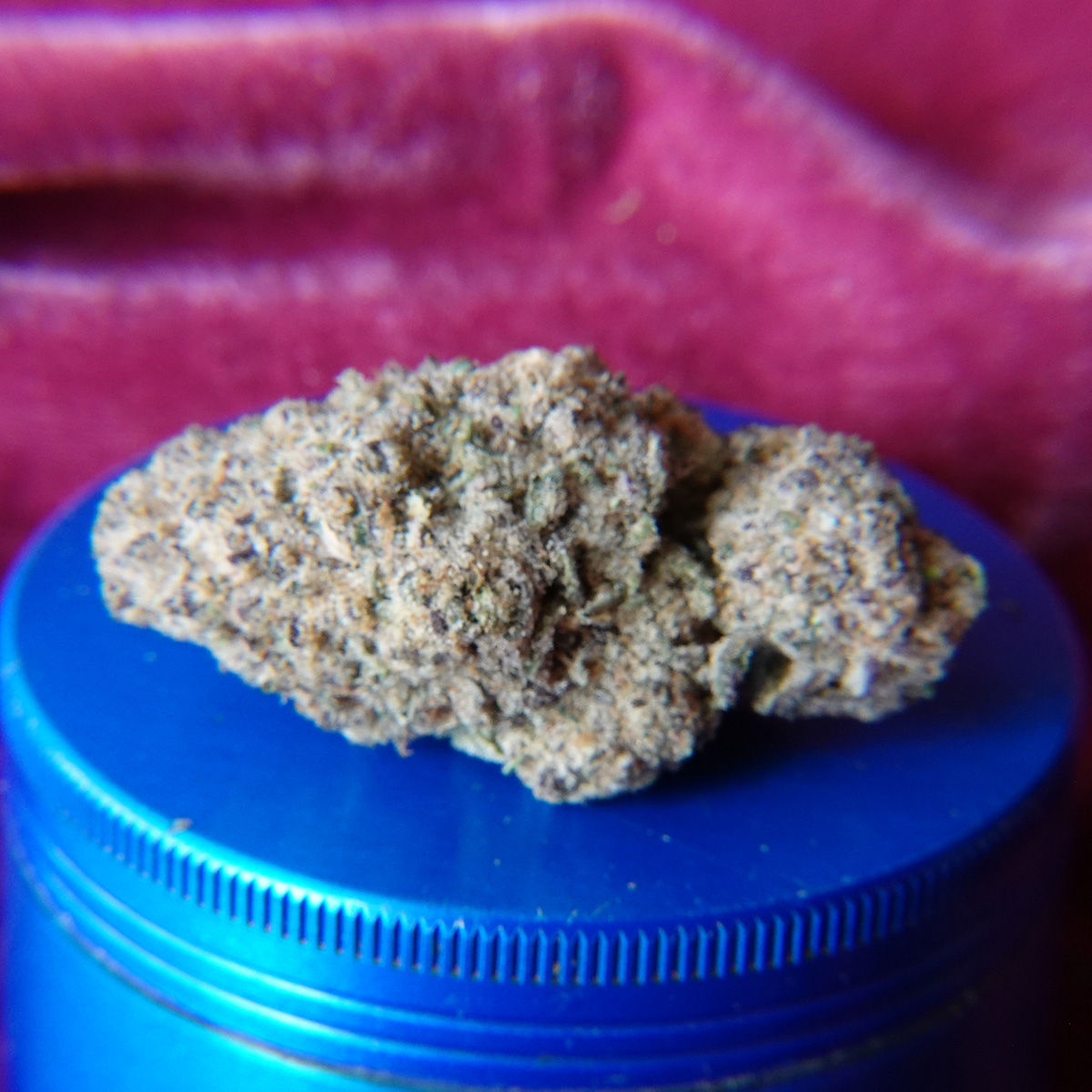 *NEW* Frosted Cakes (7g-$50/14g-$75/28g-$140) (30% THC)