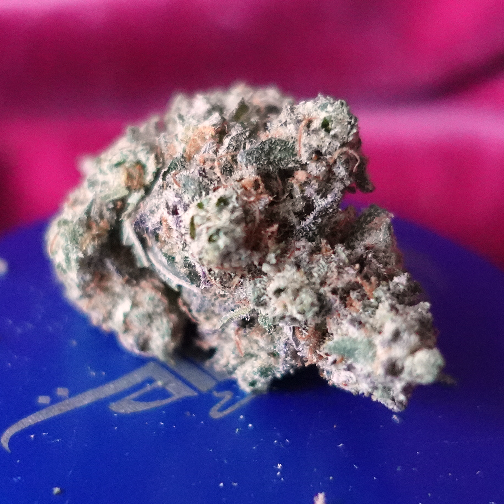 *NEW* Blueberry Kush (7g-$50/14g-$70/28g-$130) (27% THC)