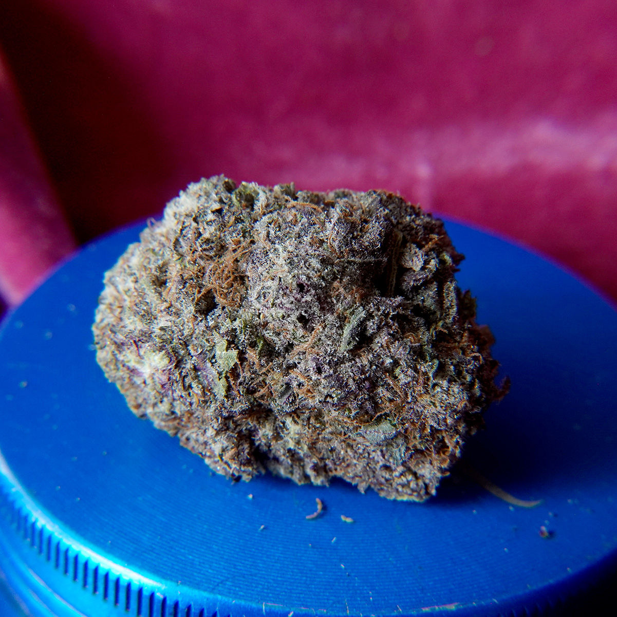 *NEW*  God's Green Crack (7g-$50/14g-$75/28g-$140) (30% THC)