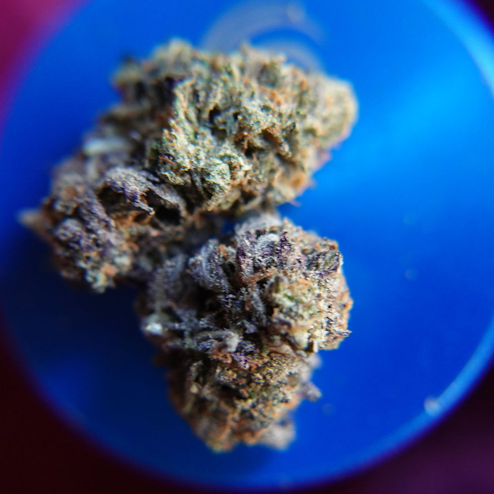 Thumbnail: *Sum'r 🔥Sale* Death Tuna  (7g-$50/14g-$65/28g-$120) (30% THC)