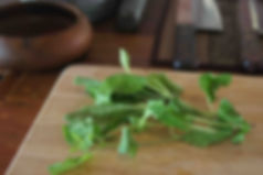 Holy Basil