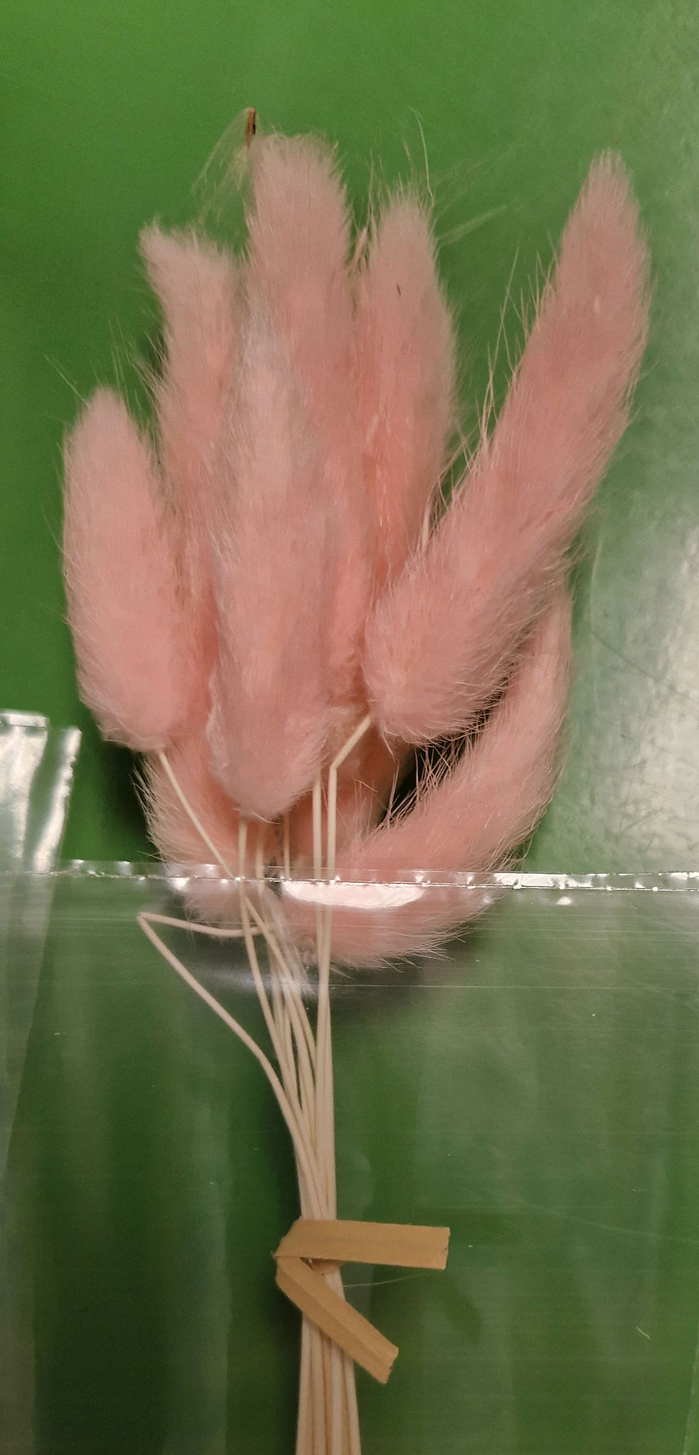 Thumbnail: Natural Dried Bunny Tails Approx 8 stems 