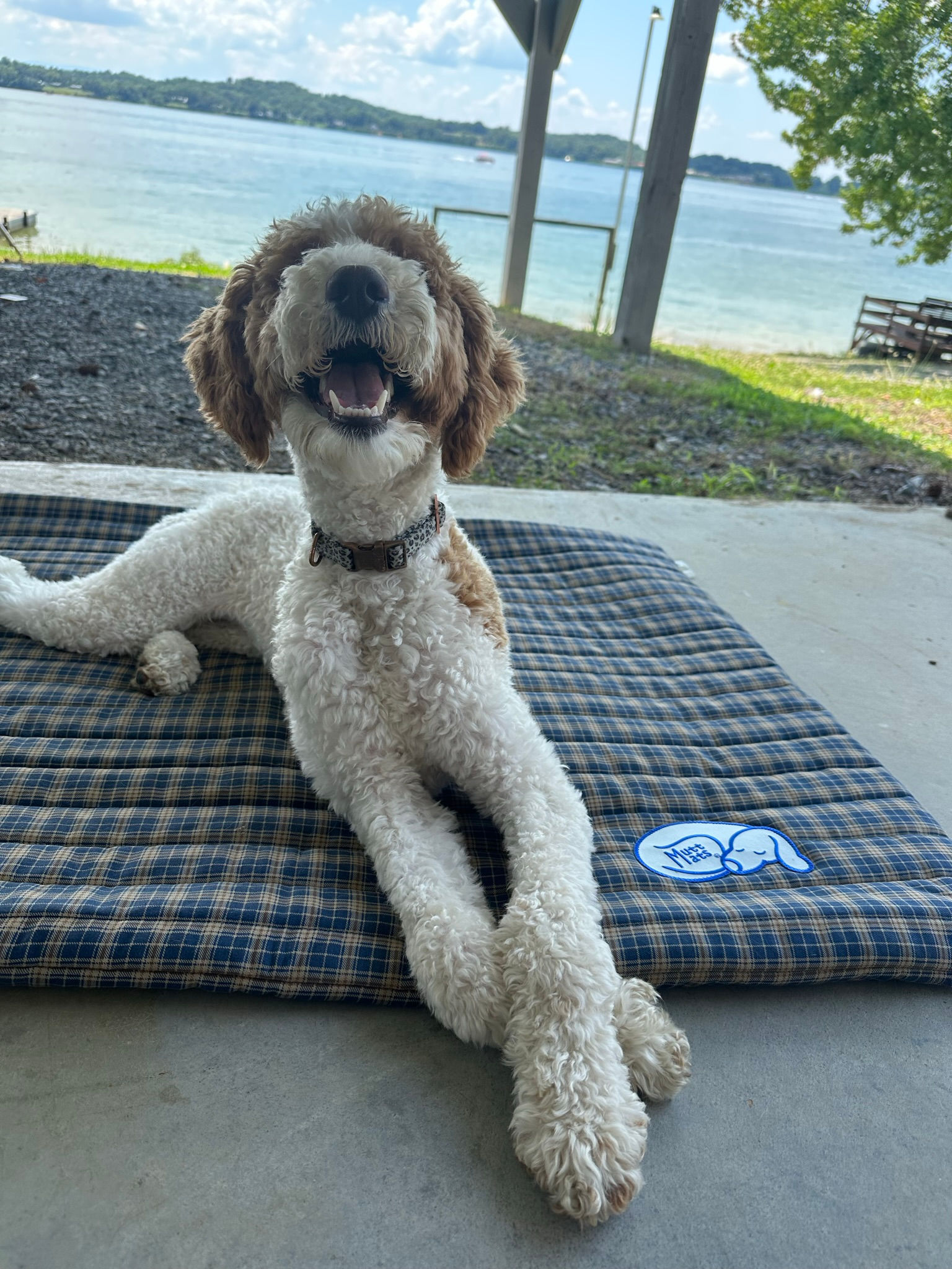 Navy/Tan/Brown Plaid