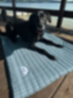 Thumbnail: Light Blue/Dark Blue/White Plaid