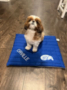 Mutt Mat - Small 18" x 20" (With Embroidered Name)