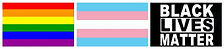 Trans Pride Flag, 