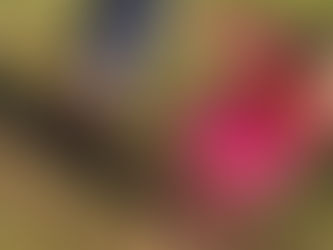 Talking and Doing and Thinking