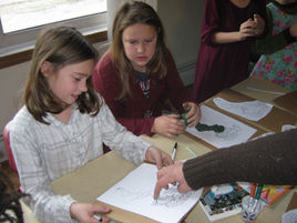 Reflecting and Organizing