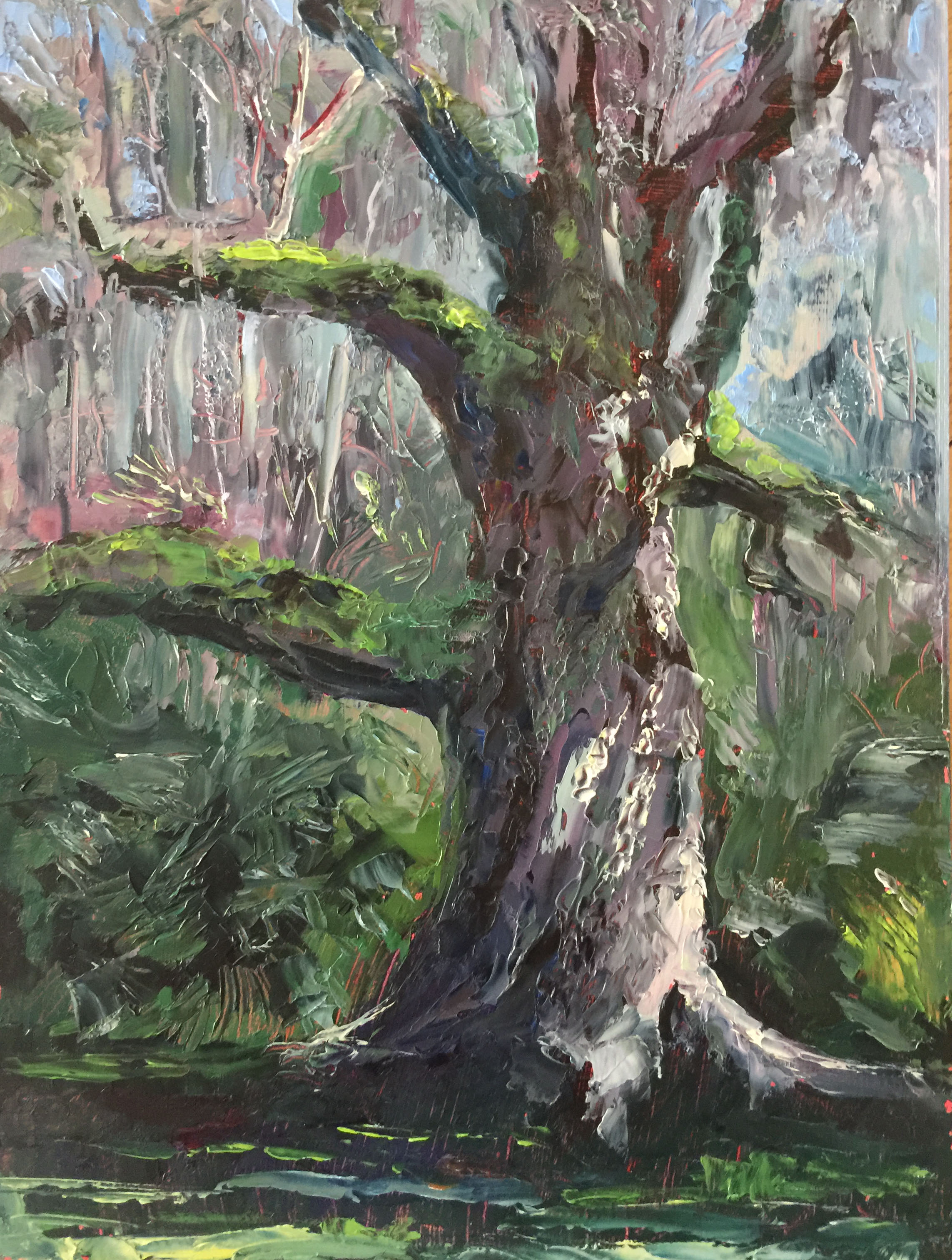 Fairchild Oak