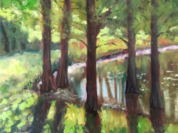 Wadsworth Park