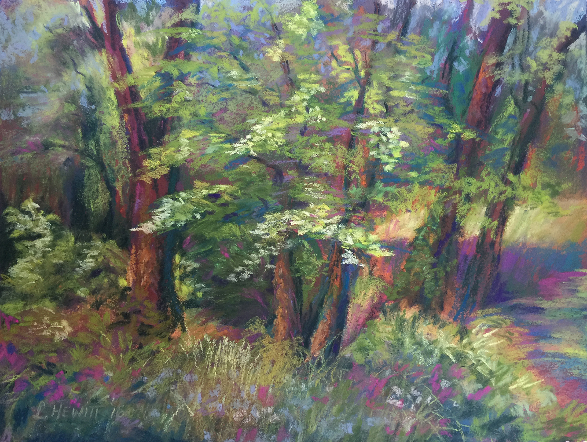 Spring Canopy