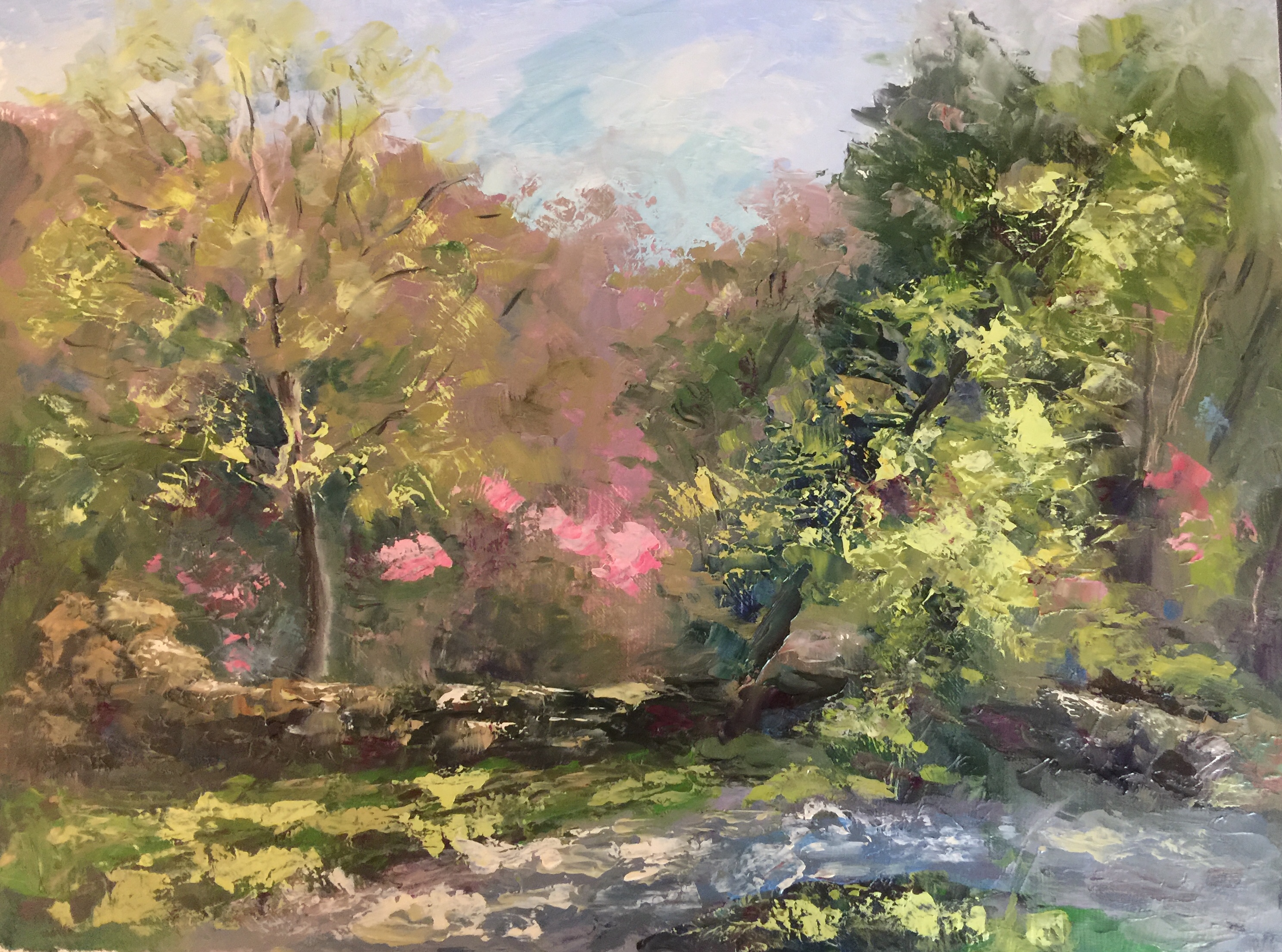 Ravine Park