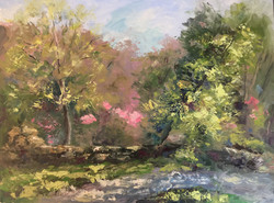 Ravine Park