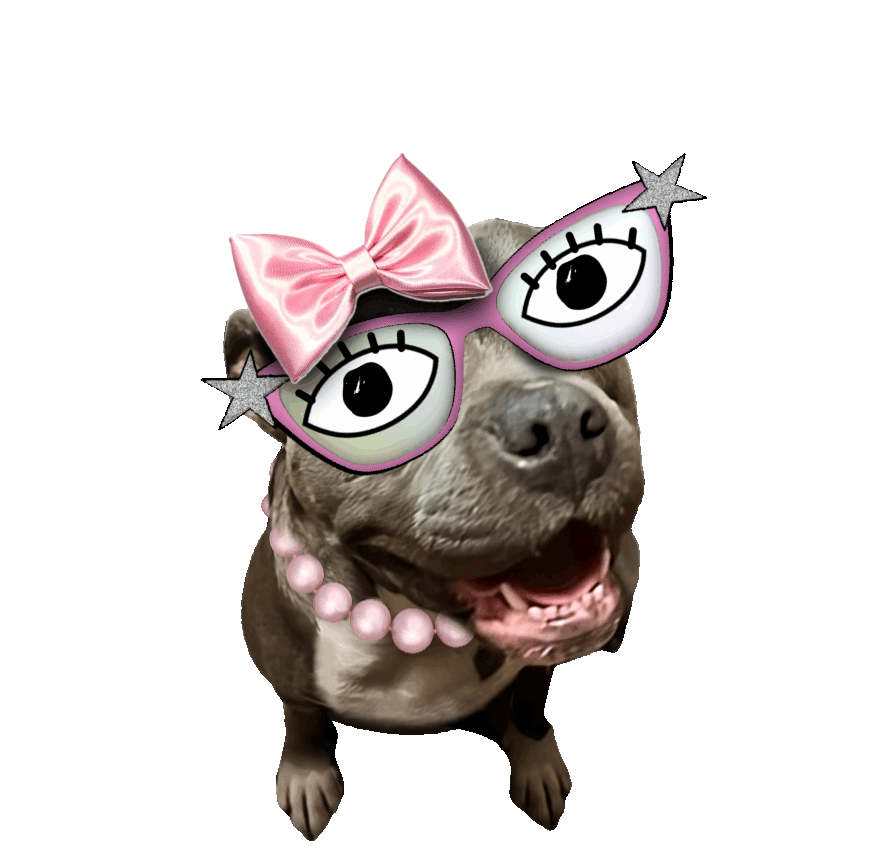 doggo12x.gif