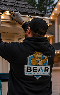 Bear Christmas Light Employee.png