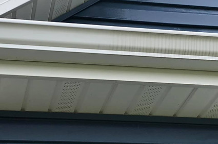 Gutter Brightening Bear Property Cleaning