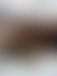 APB FC HEBDO #12 WK DU 13 & 14 AVRIL