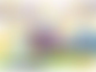 ♾️ 夫との思い出