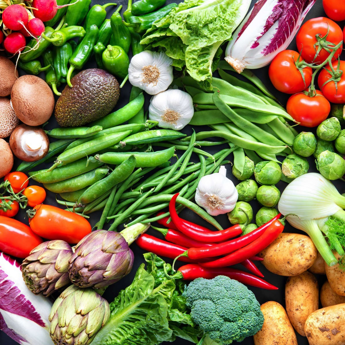 Export Quality Vegetables for International Trade Food Processing and Wholesale