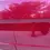 Thumbnail:  1965 FORD FASTBACK A-CODE 4SPD FASTBACK A-CODE 289 4SPD