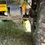Thumbnail:  1971 Land Rover Other