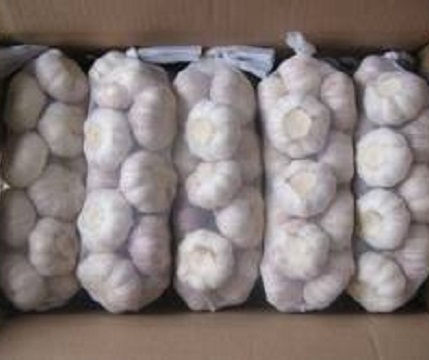 Frischer Weißer Knoblauch 5cm 10kg TH OEM Marke