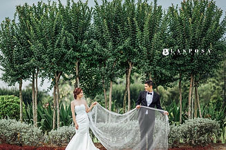 lasposa-bridal-gallery-ss2-malaysia-gown-shop-pre-wedding-trees-1024x683.jpg