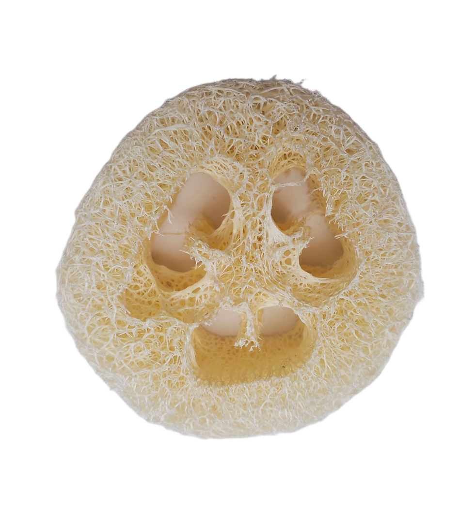 Thumbnail: Foot Loofa