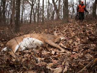 12 Must-Have Hunting and Fishing Apps for your Smartphone
