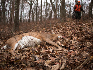 12 Must-Have Hunting and Fishing Apps for your Smartphone