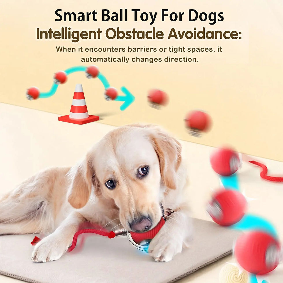Thumbnail: New Dog Interactive Ball Toy,Automatic Rolling Dog Ball Rechargeable,Smart Puppy