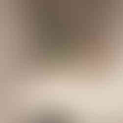 Military figurines in display cabinet