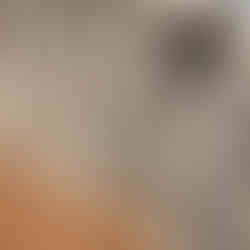 Household items in display cabinets