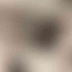 Items for sale in charity shop