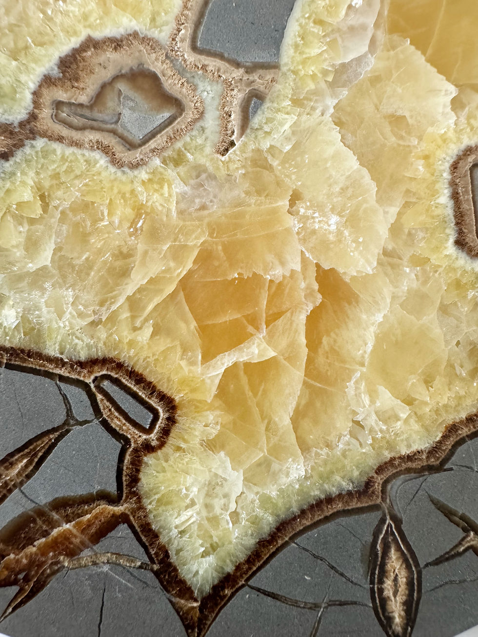 Thumbnail: Septaria Slice-Utah, USA